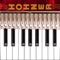 Hohner Piano Accordion (AppStore Link) 