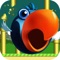 Flappy Rival-The Adventure Of Two Fat Bird Fun Free Games (AppStore Link) 