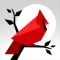 Cardinal Land (AppStore Link) 
