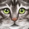 Ultimate Cat Simulator (AppStore Link) 