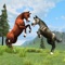 Clan of Horse (AppStore Link) 
