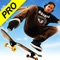 Skateboard Party 3 Pro (AppStore Link) 