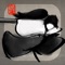 SumiKen : Ink Blade Samurai (AppStore Link) 