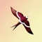 Sunbirds (AppStore Link) 