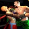 Wrestling Pro Fighting (AppStore Link) 