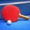 Ping Pong Fury: Table Tennis (AppStore Link) 