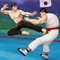 Kung Fu Fight: Karate Fighter (AppStore Link) 