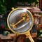 Hidy - Find Hidden Objects (AppStore Link) 
