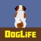BitLife Dogs - DogLife (AppStore Link) 