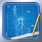Blueprint 3D (AppStore Link) 