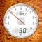 Speedometer+ (AppStore Link) 