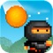 8bit Ninja (AppStore Link) 