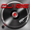 DJ Rig for iPad (AppStore Link) 