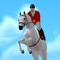 Jumpy Horse Show Jumping (AppStore Link) 