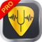 Simple Guitar Tuner Pro - The Chromatic Tuner for Acoustic and Electric Guitar, Bass, Ukulele ! (AppStore Link) 