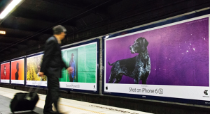 Színes képekkel folytatja a Shot on iPhone kampányát az Apple